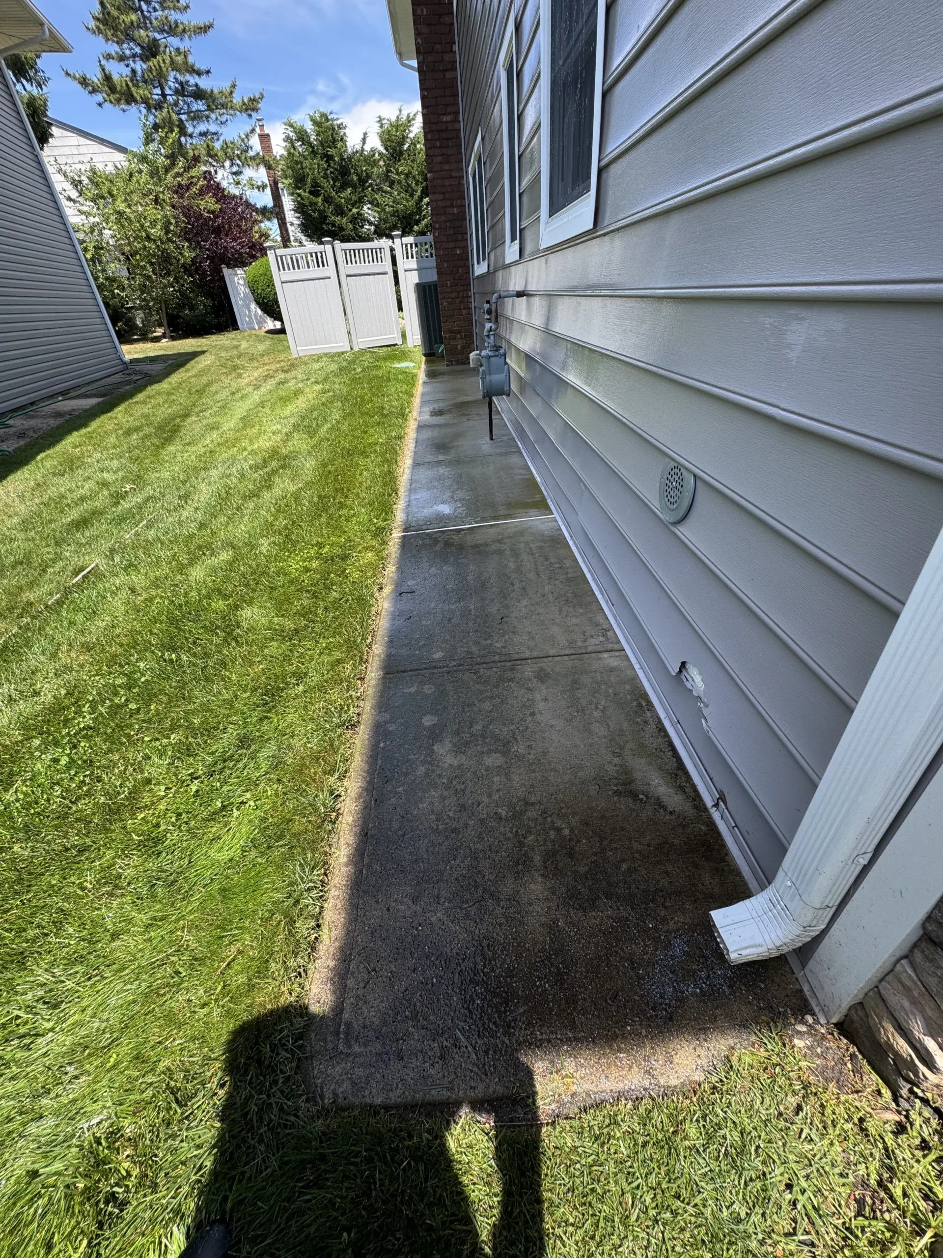 Before exterior cleaning job 1