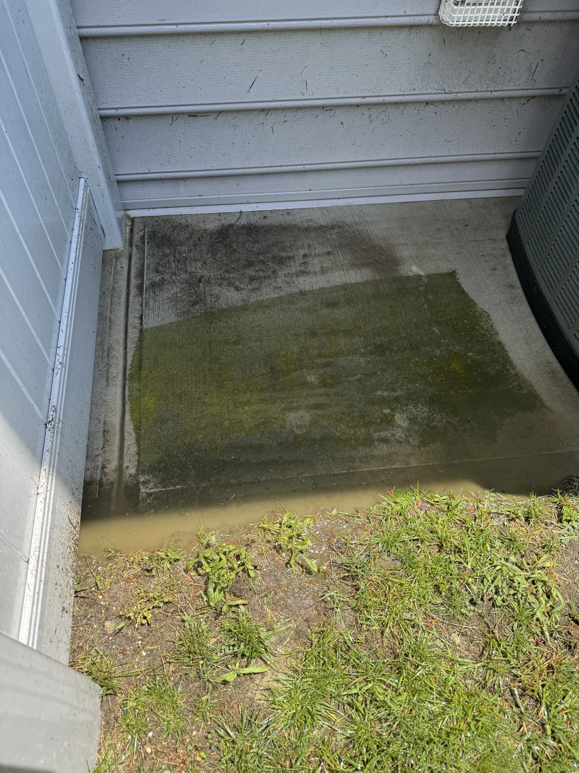 Before exterior cleaning job 2