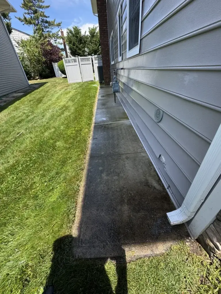 Side walkway before cleaning